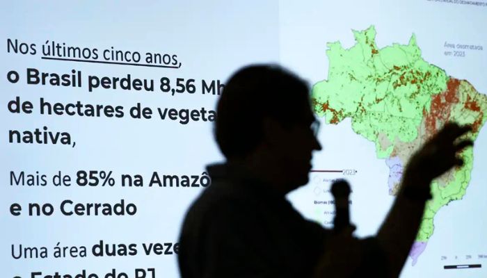 Brasil já perdeu 33% das áreas naturais de seu território